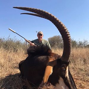 South Africa Hunt Sable Antelope