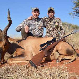 Red Hartebeest Hunt South Africa