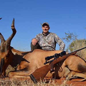 Hunting Red Hartebeest in South Africa