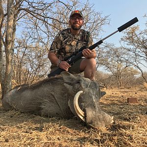 Warthog Hunting South Africa