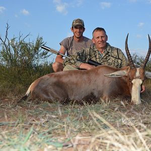 South Africa Hunting Blesbok