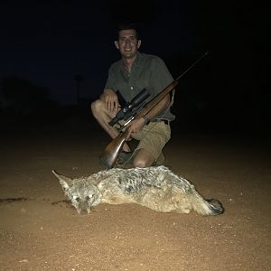 Jackal Hunt South Africa