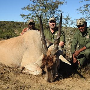 South Africa Hunt Eland