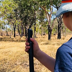 Stalking Asiatic Water Buffalo With My Son