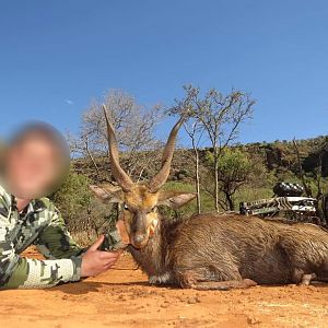 Bushbuck Hunting South Africa