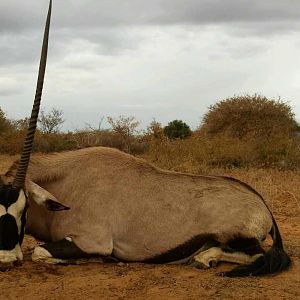 Hunting Gemsbok in South Africa