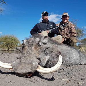 Hunt Warthog in South Africa