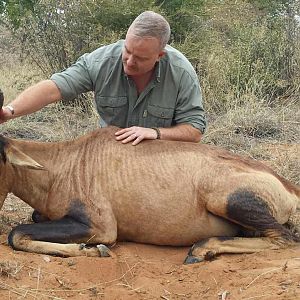 Hunting Red Hartebeest in South Africa