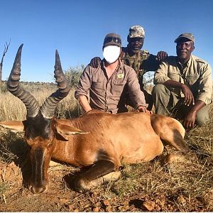 Hunt Red Hartebeest Namibia