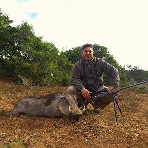 Hunting Warthog in South Africa