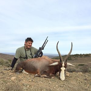 Hunt Blesbok in South Africa