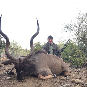 Kudu Hunting South Africa