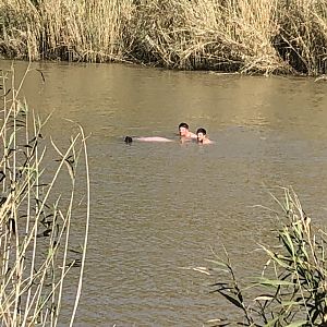 Retrieving Hippo from the water