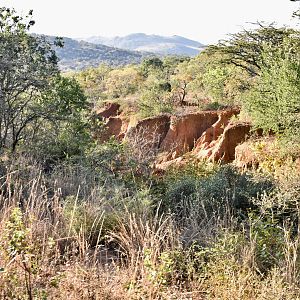 Hunting Area South Africa