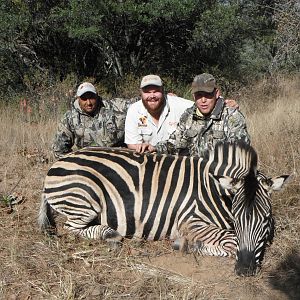 Hunting Burchell's Plain Zebra in South Africa