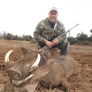 Warthog Hunt South Africa