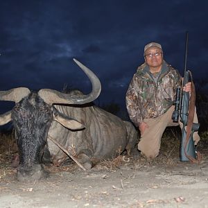 South Africa Hunt 29 3/8" Inch Blue Wildebeest