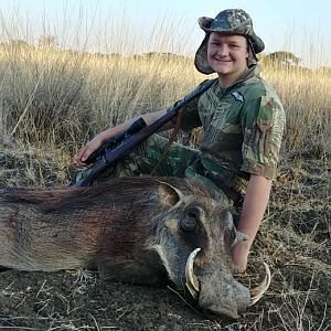 Warthog Hunt South Africa