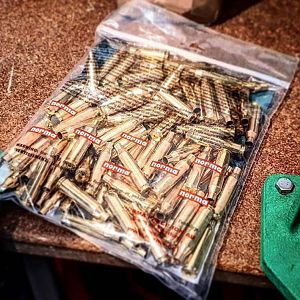 .260 Remington brass