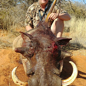 Warthog Hunt South Africa