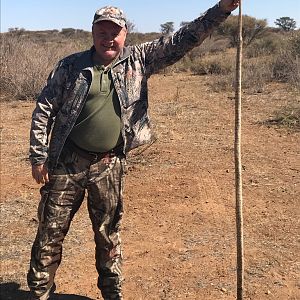 Egyptian Cobra Hunt Namibia