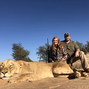 Hunting Lioness in South Africa