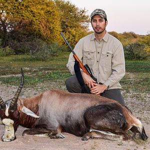 South Africa Hunting Blesbok