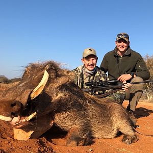 South Africa Hunt Warthog