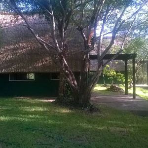 Hunting Lodge Zimbabwe