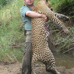 Zimbabwe Hunt Leopard