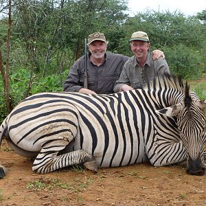 Zimbabwe Hunt Burchell's Plain Zebra