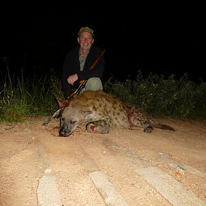 Spotted Hyena Hunt in Zimbabwe