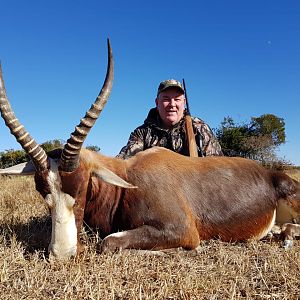 Hunting Blesbok in South Africa