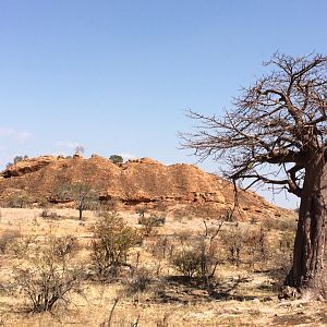 Zimbabwe Landscape