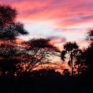 Dawn Skies of Zimbabwe