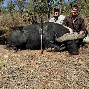 Cape Buffalo Hunt Zimbabwe