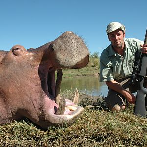 Hunt Hippo in Zimbabwe