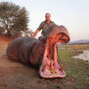 Hippo Hunt Zimbabwe