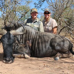 Hunt Blue Wildebeest in Zimbabwe