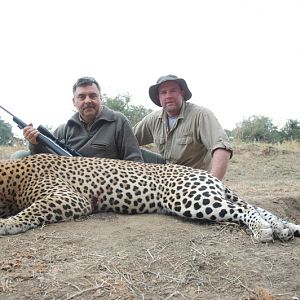 Zimbabwe Hunting Leopard