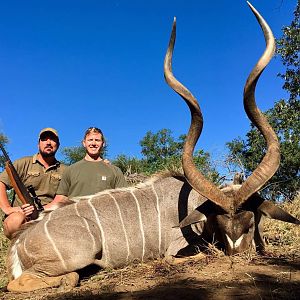 Zimbabwe Hunting Kudu