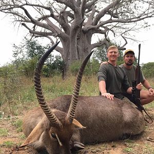 Hunting Waterbuck in Zimbabwe