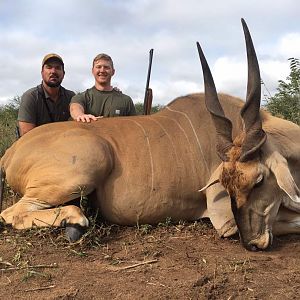 Eland Hunting Zimbabwe