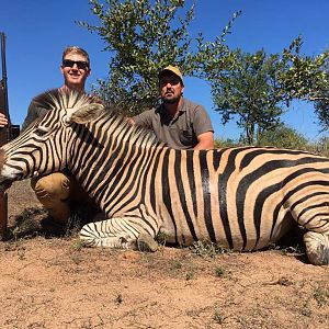 Zimbabwe Hunting Burchell's Plain Zebra