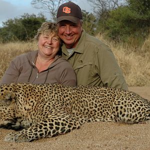 Hunt Leopard in Zimbabwe