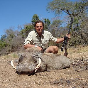 Zimbabwe Hunting Warthog