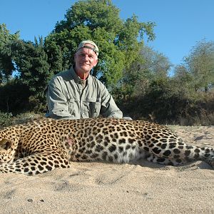 Hunt Leopard in Zimbabwe