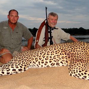 Hunt Leopard in Zimbabwe