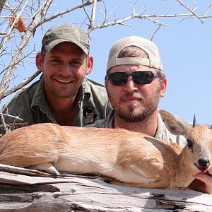 Sharp's Grysbok Hunt Zimbabwe