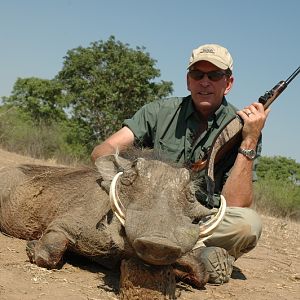 Warthog Hunting in Zimbabwe